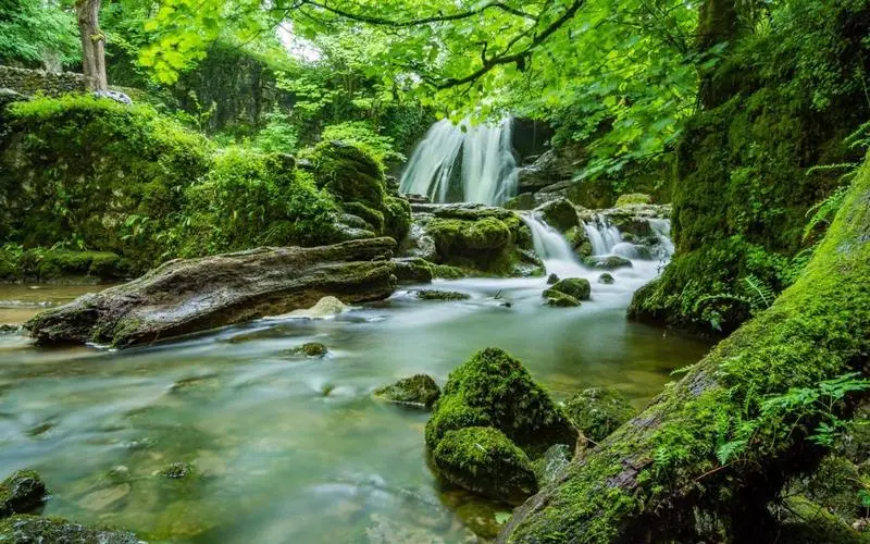 高标准独特稳定性